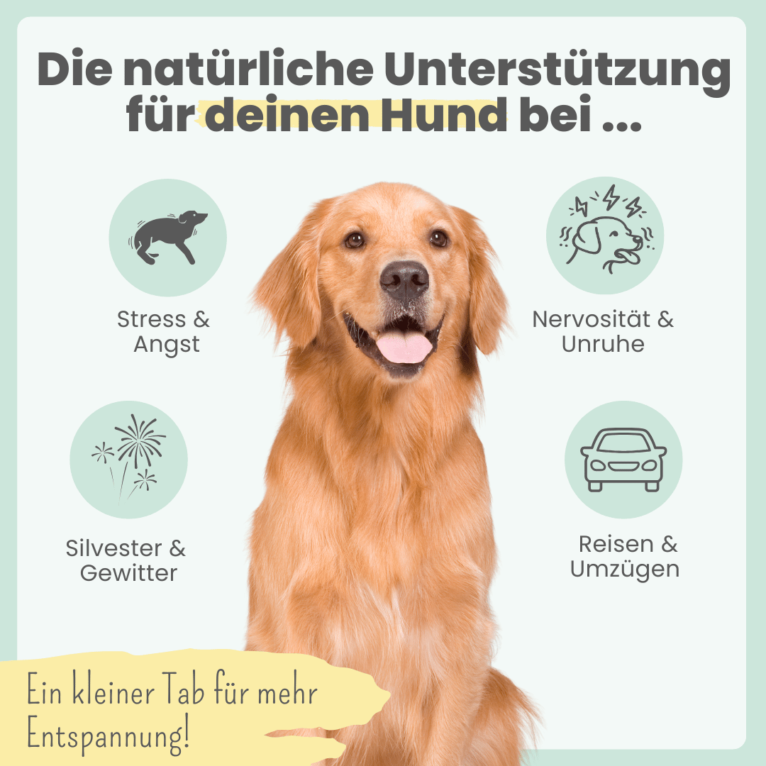 
                  
                    Wohlfühltabs für Hunde bei Stress, Angst, Unruhe und Hyperaktivität
                  
                