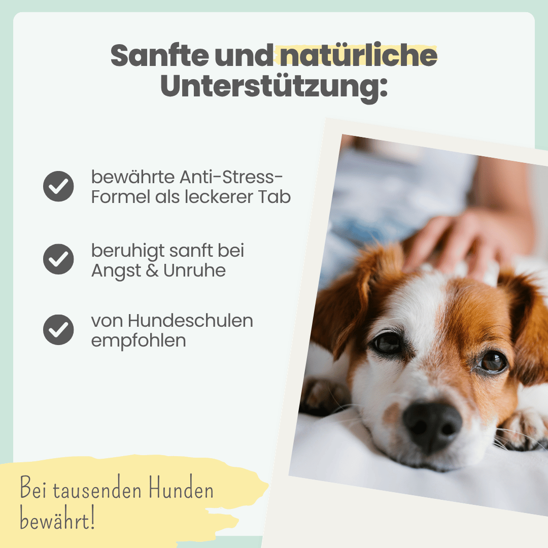 
                  
                    Wohlfühltabs für Hunde bei Stress, Angst, Unruhe und Hyperaktivität
                  
                