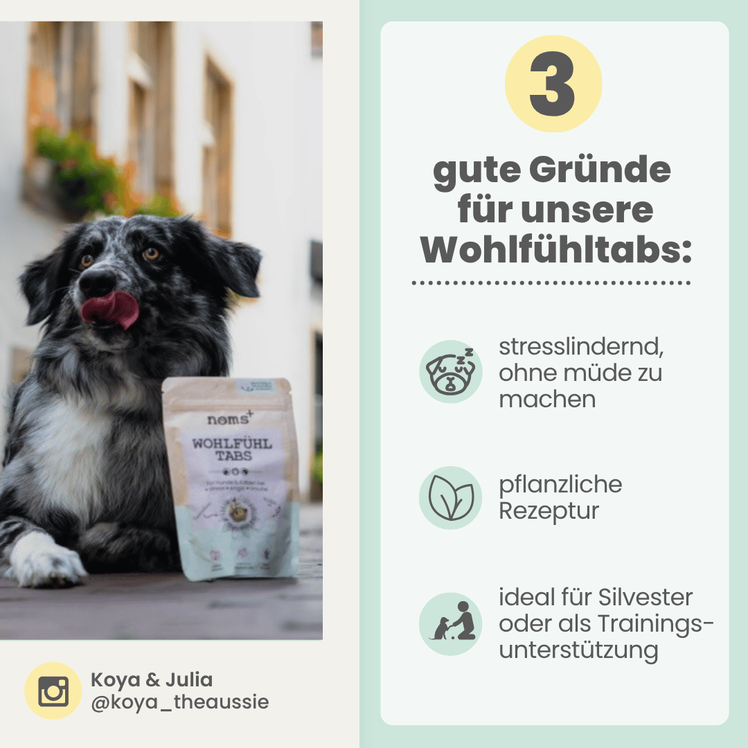 
                  
                    Wohlfühltabs für Hunde bei Stress, Angst, Unruhe und Hyperaktivität
                  
                