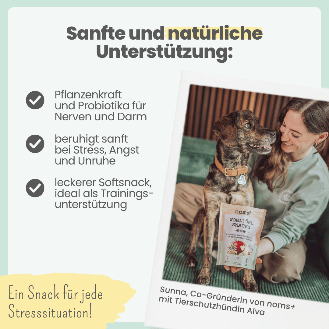 
                  
                    Wohlfühlsnacks für Hunde bei Stress, Angst, Unruhe & Hyperaktivität
                  
                