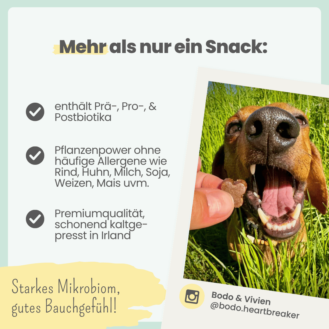 
                  
                    Probio Belly Snacks für Hunde mit BIOTICS³-Komplex: Präbiotika, Probiotika & Postbiotika
                  
                