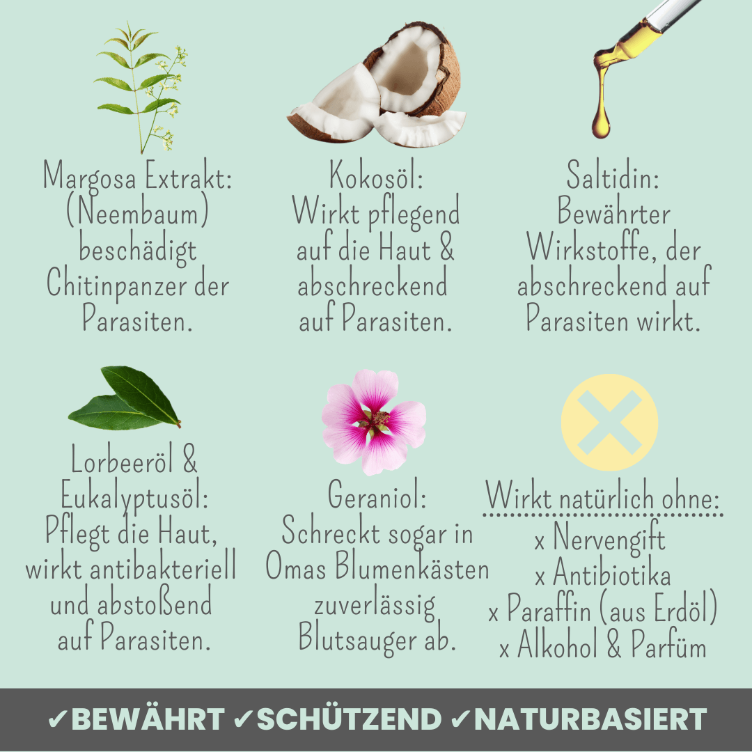 
                  
                    Zpot-on für Hunde gegen Zecken, Flöhe, Milben & Mücken
                  
                
