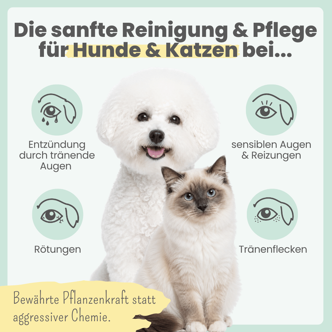 
                  
                    2-in-1 Augenfein Reinigung & Pflege für Hunde & Katzen mit kolloidalem Silber
                  
                