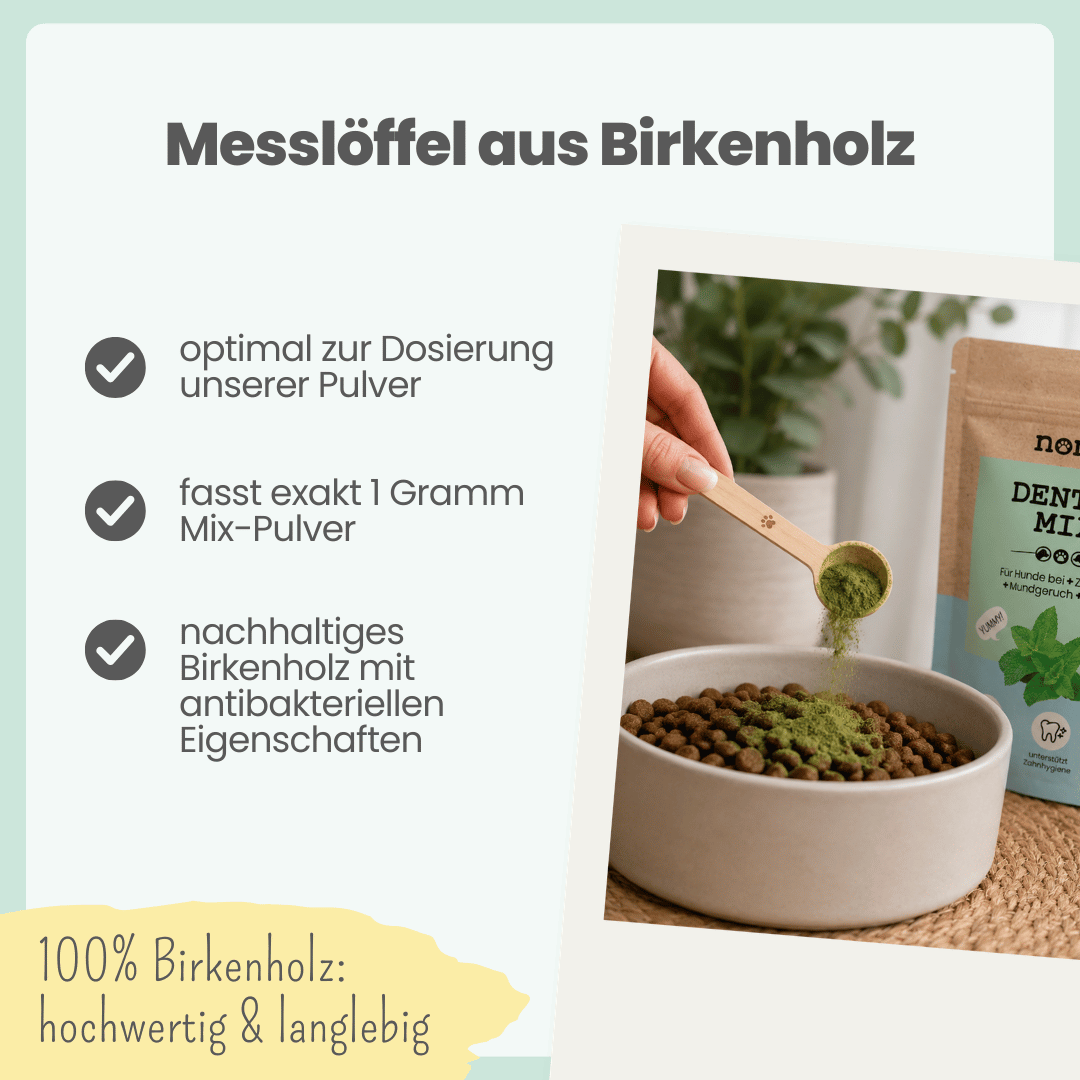 
                  
                    Messlöffel aus Birkenholz fasst genau 1g noms+ Pulver
                  
                