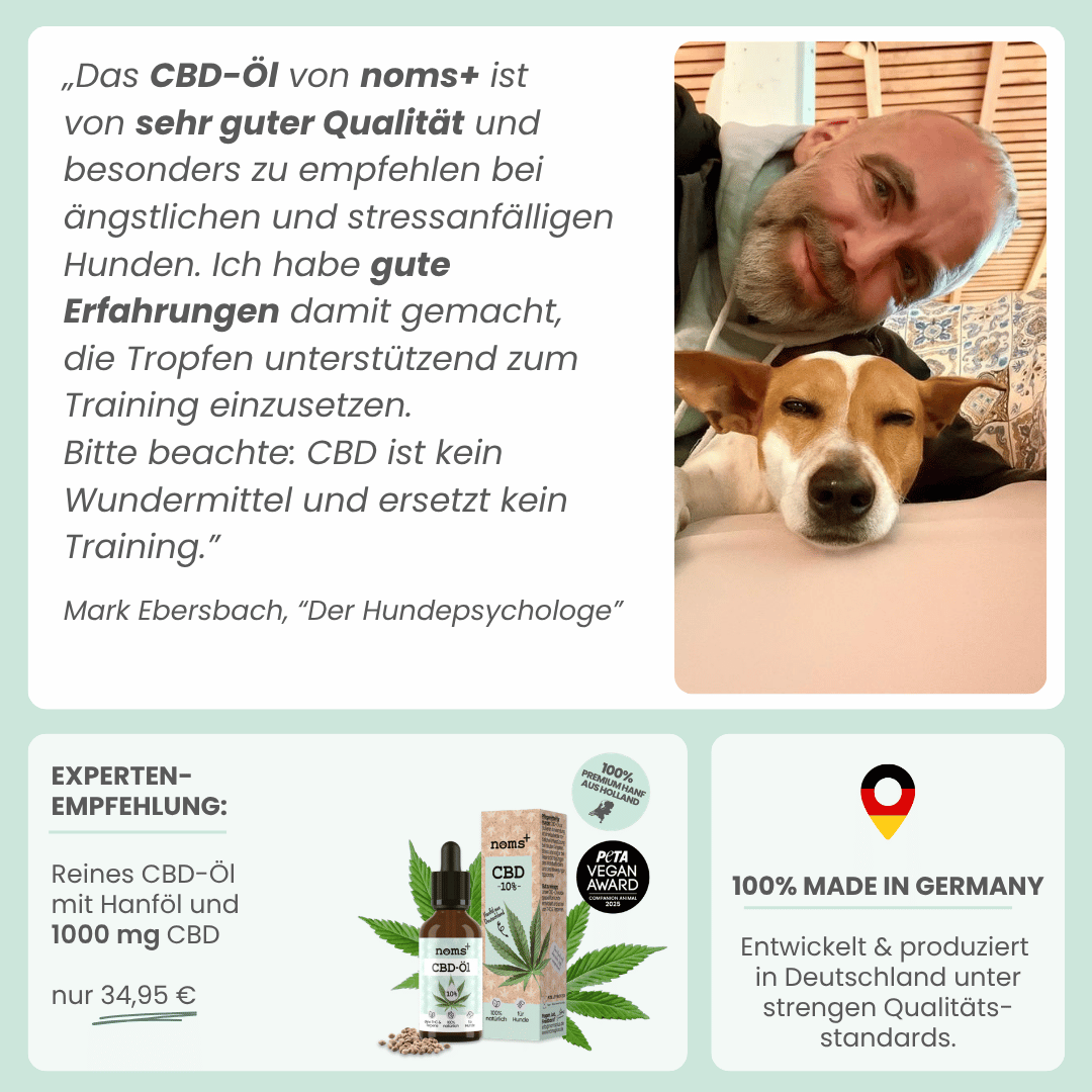 
                  
                    10% CBD Tropfen für Hunde
                  
                