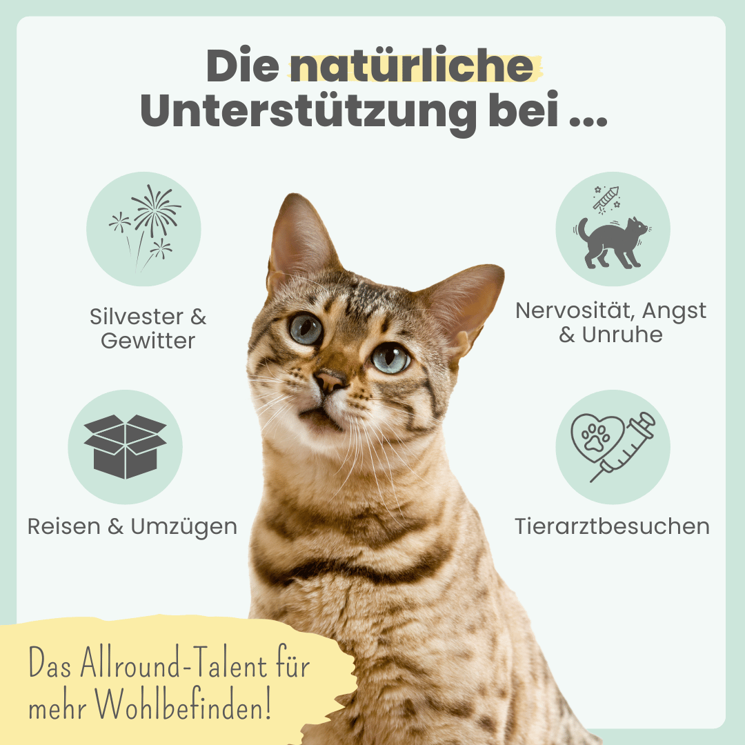 
                  
                    3% CBD Tropfen für Katzen und kleine Hunde 10ml
                  
                
