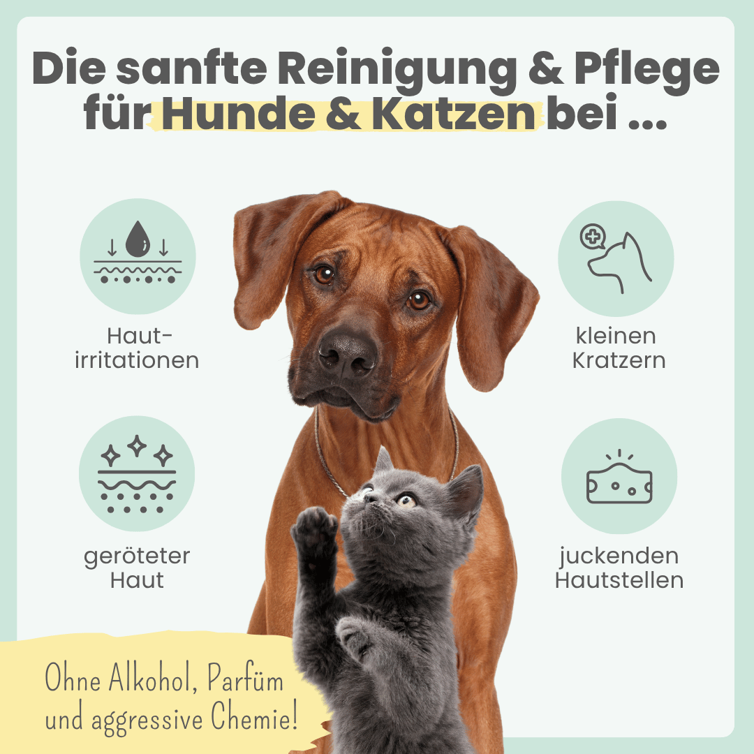 
                  
                    Silberspray für Hunde und Katzen mit 50ppm
                  
                