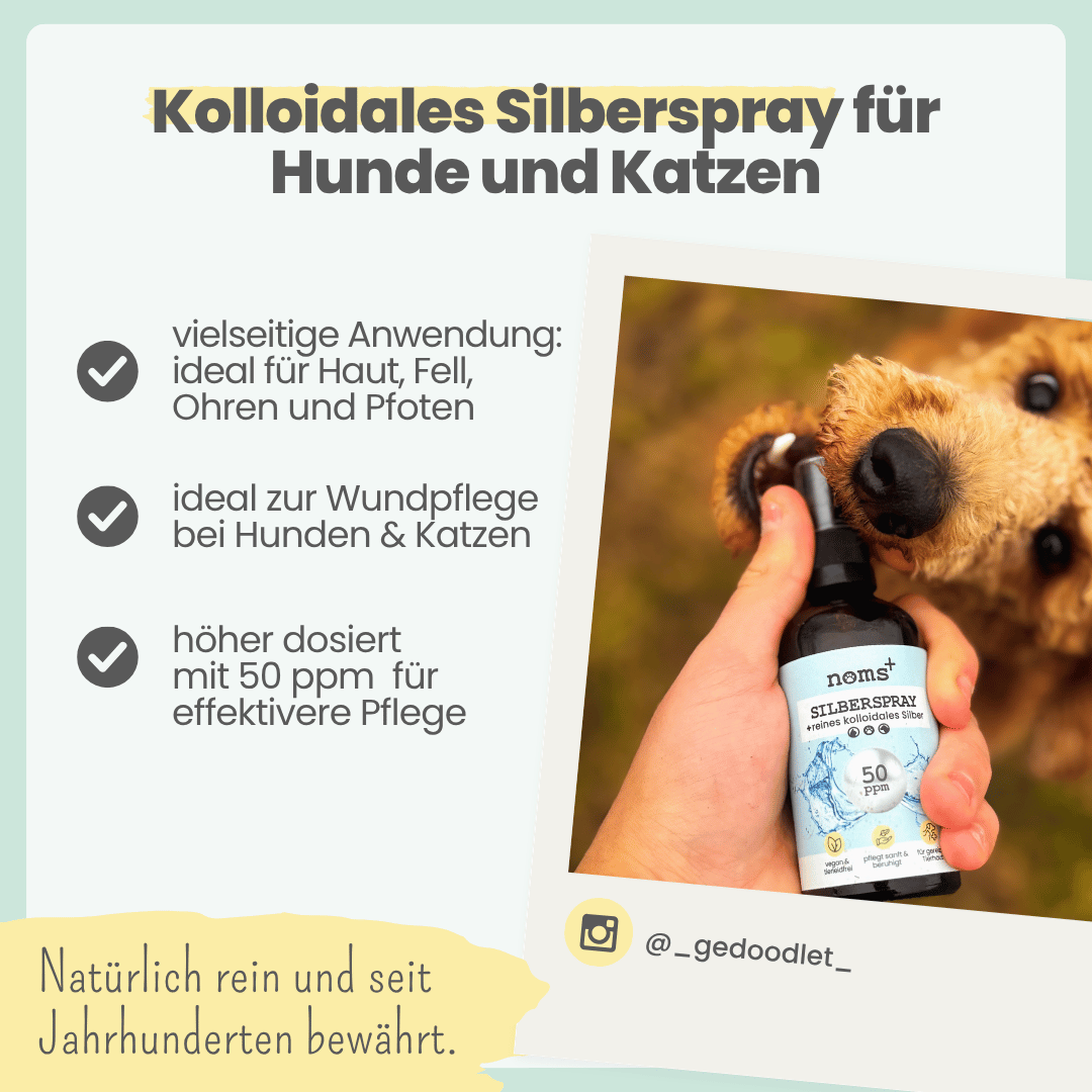 
                  
                    Silberspray für Hunde und Katzen mit 50ppm
                  
                