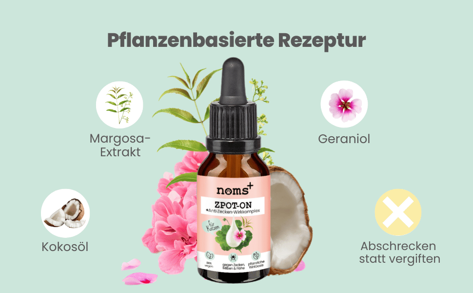 nomsplus