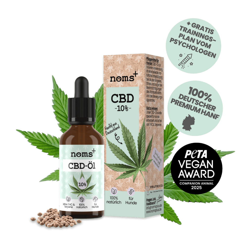 10% CBD Tropfen für Hunde
