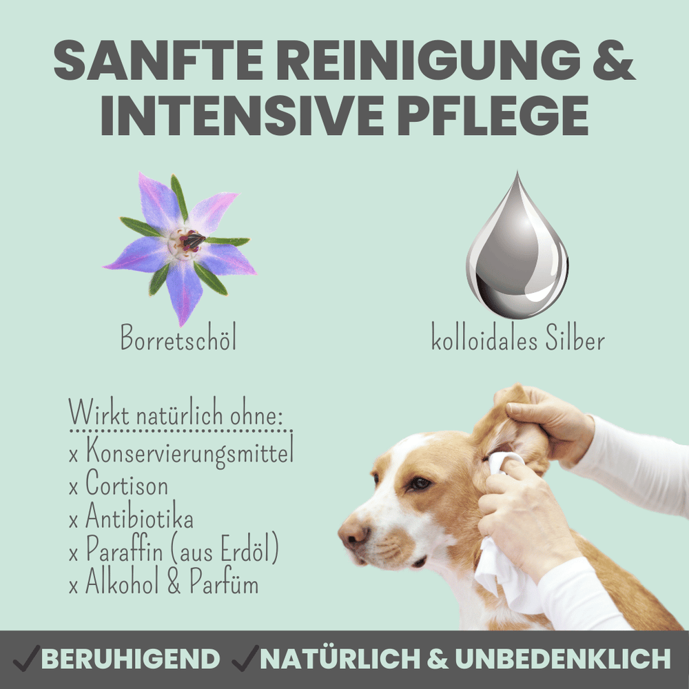 
                  
                    Großes Pflege-Set für Hunde und Katzen
                  
                