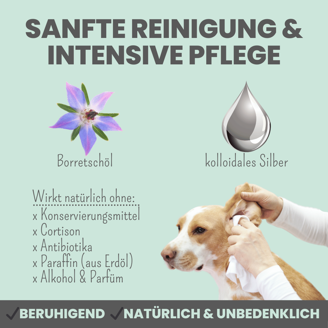 
                  
                    Großes Pflege-Set für Hunde und Katzen
                  
                