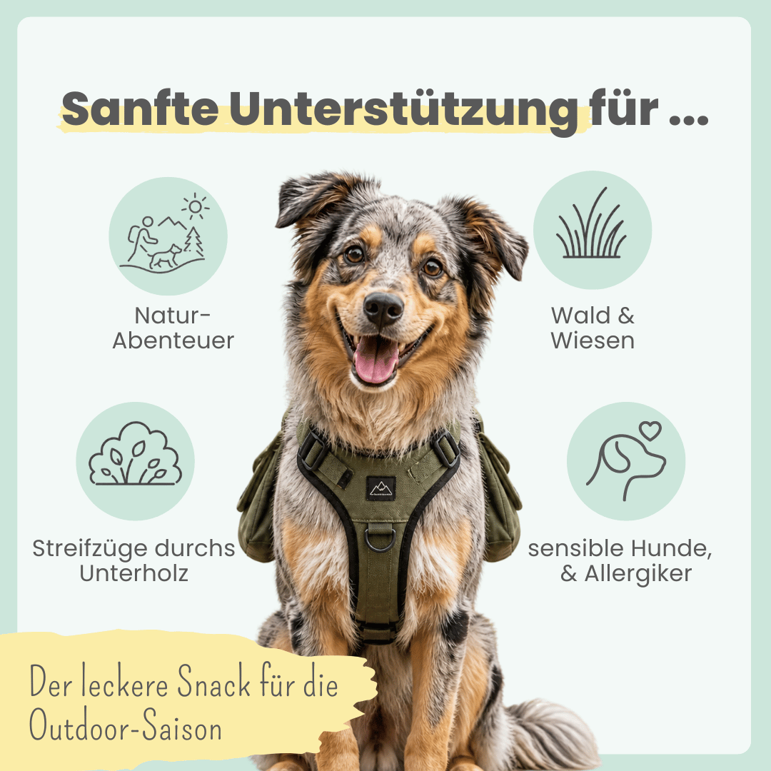 
                  
                    Z-Komplex für Hunde: Leckerer Soft-Snack für Wald & Wiese
                  
                