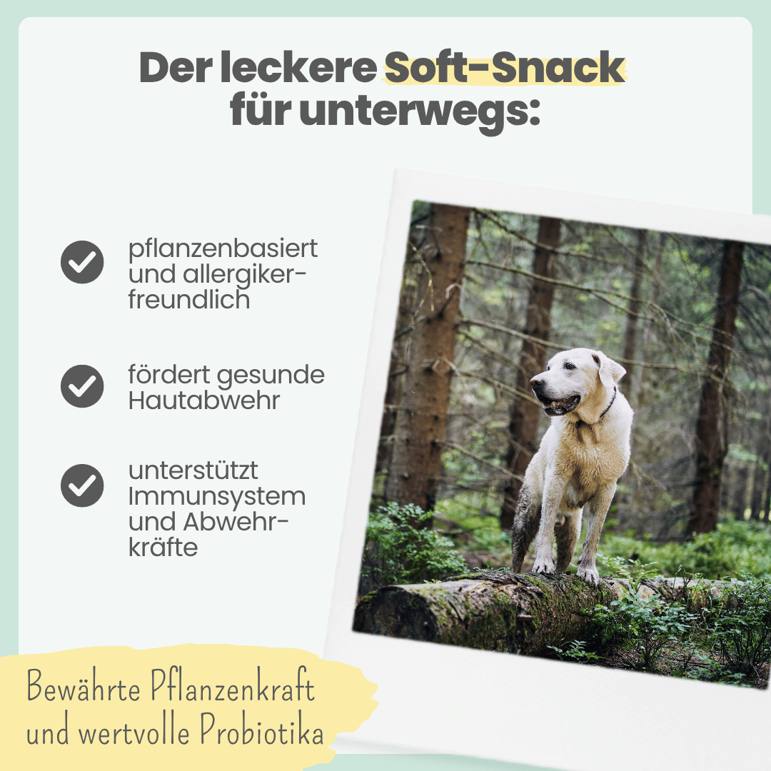
                  
                    Z-Komplex für Hunde: Leckerer Soft-Snack für Wald & Wiese
                  
                