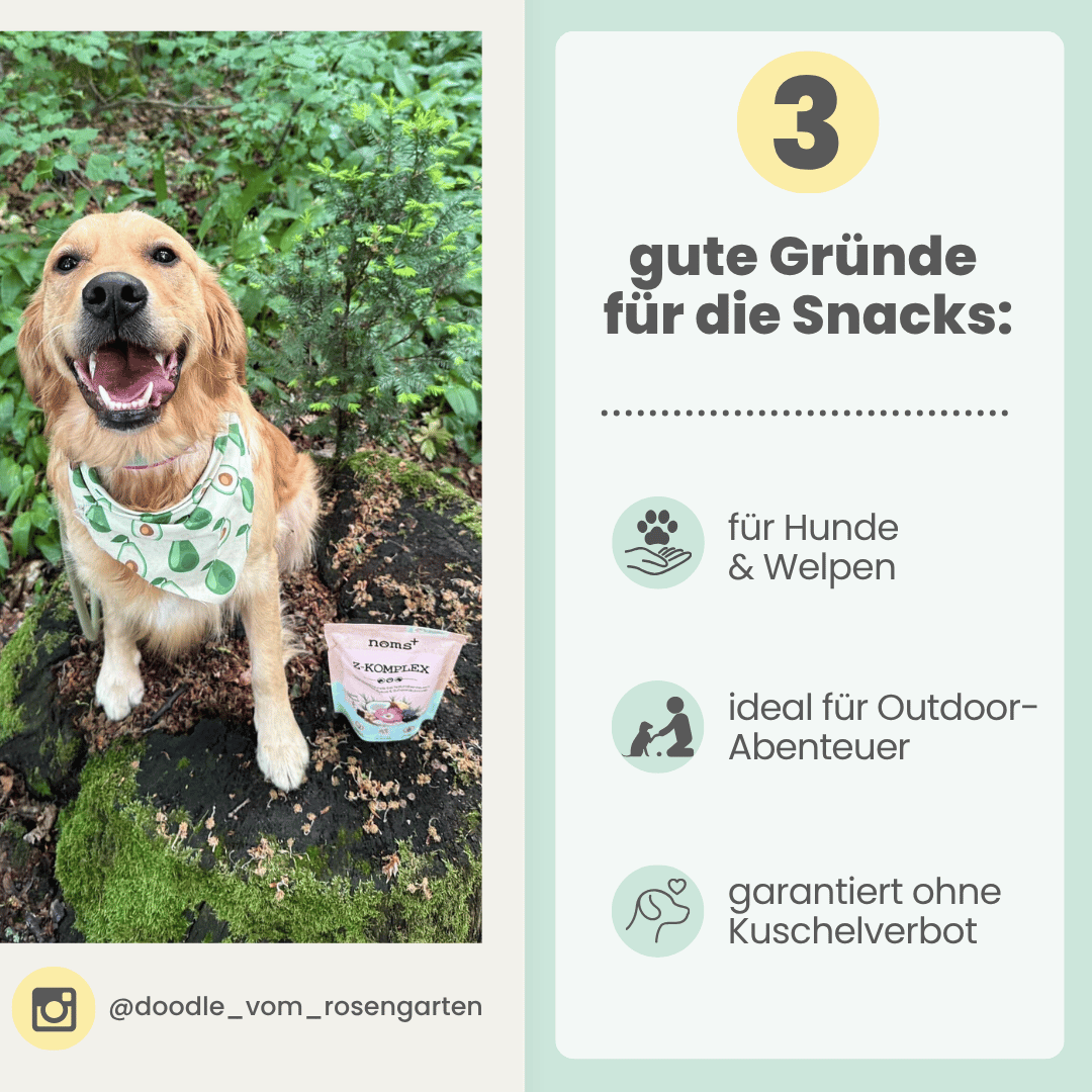 
                  
                    Z-Komplex für Hunde: Leckerer Soft-Snack für Wald & Wiese
                  
                
