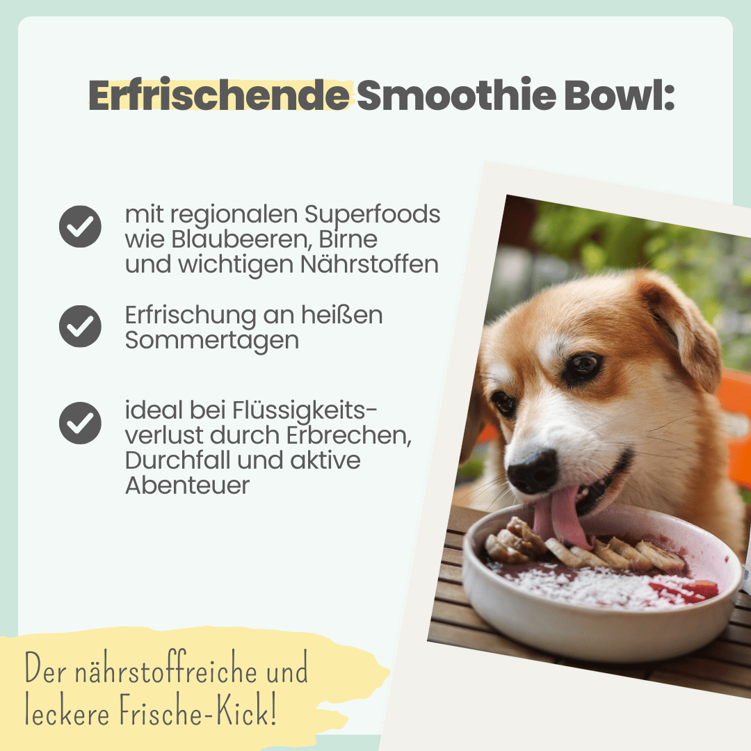 
                  
                    Hunde Smoothie-Bowl: Der fruchtig frische Elektrolyt-Booster - Ready to eat
                  
                