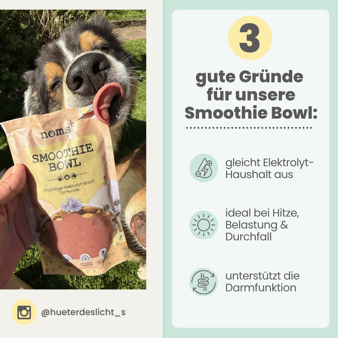 
                  
                    Hunde Smoothie-Bowl: Der fruchtig frische Elektrolyt-Booster - Ready to eat
                  
                