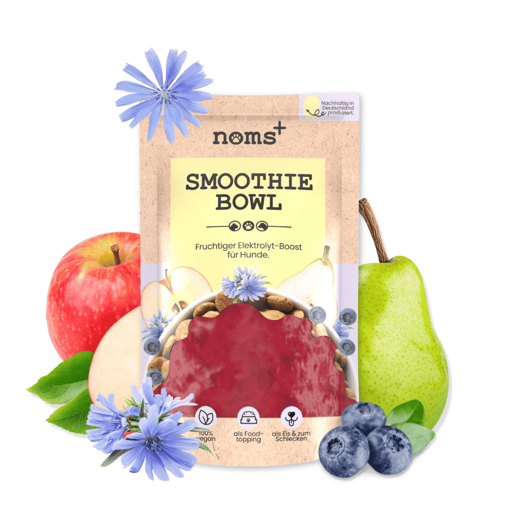Hunde Smoothie-Bowl: Der fruchtig frische Elektrolyt-Booster - Ready to eat