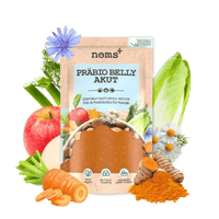 Präbio Belly Akut: pflanzenbasierte Darmkur für Hunde nach Moro-Art - Ready to eat