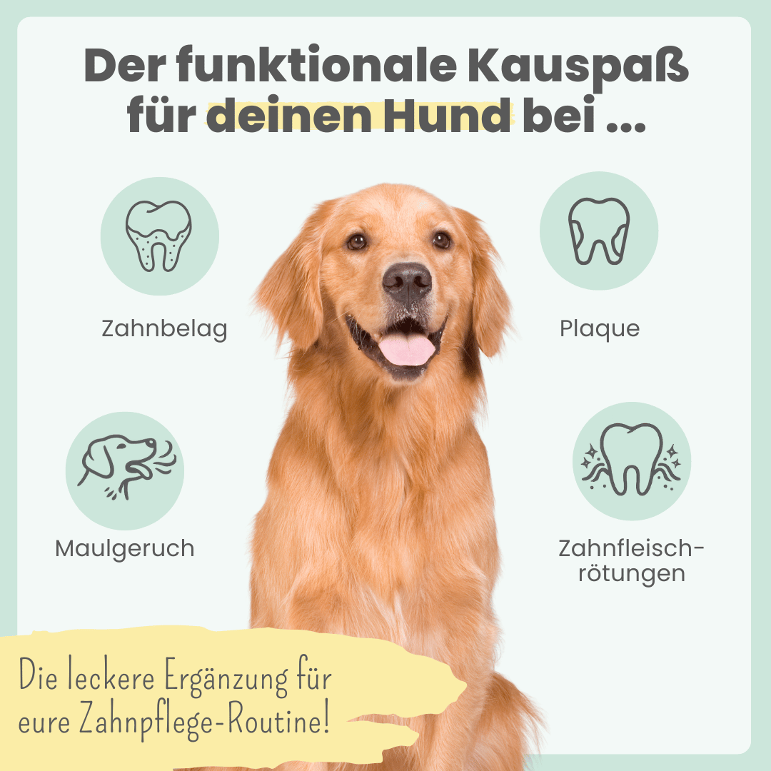 Kräuter Dentals für Hunde