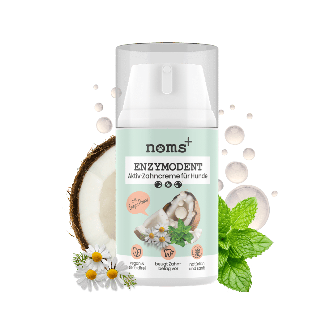 Enzymodent Zahnpasta für Hunde
