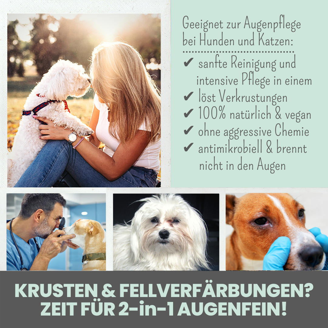 
                  
                    Großes Pflege-Set für Hunde und Katzen
                  
                