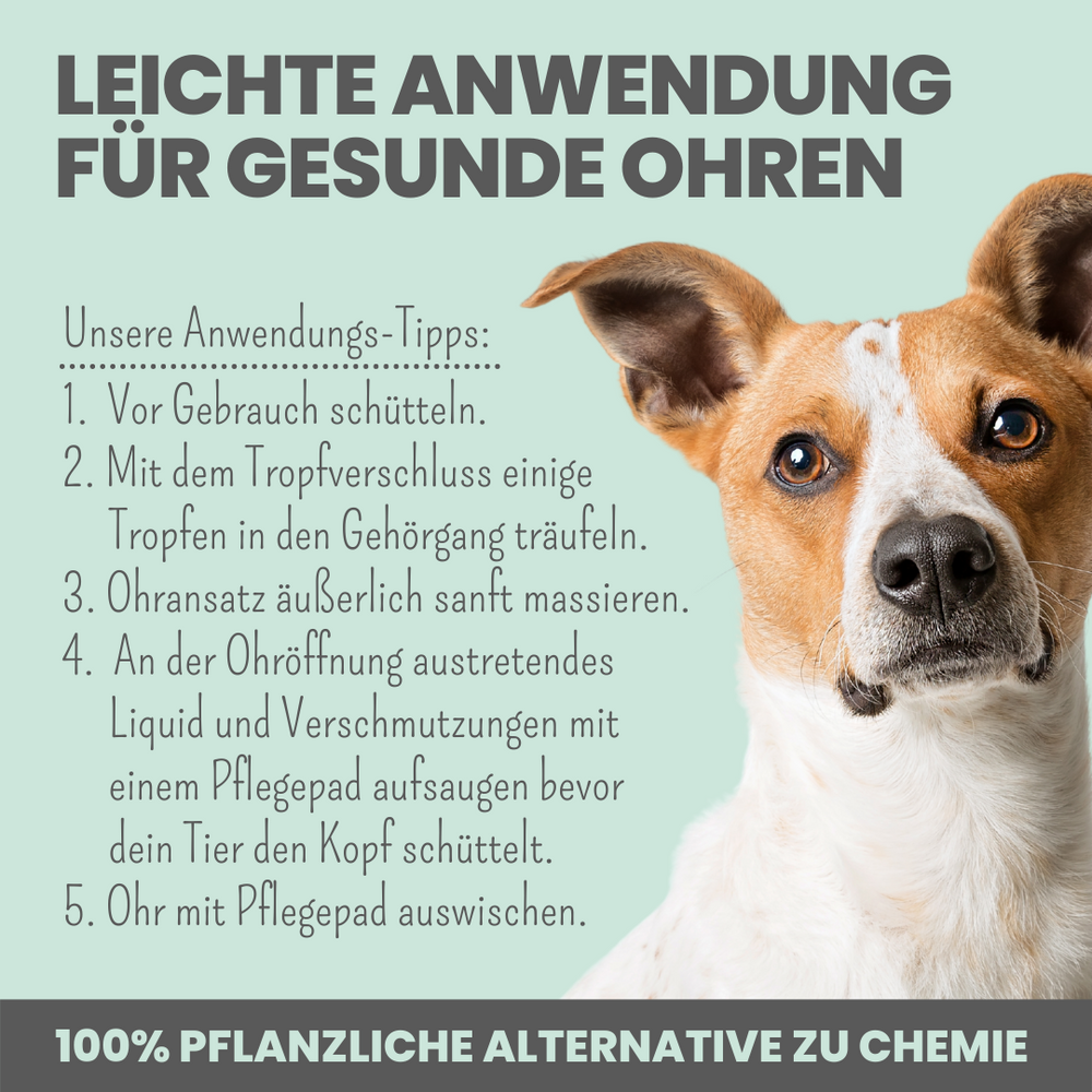 
                  
                    Großes Pflege-Set für Hunde und Katzen
                  
                