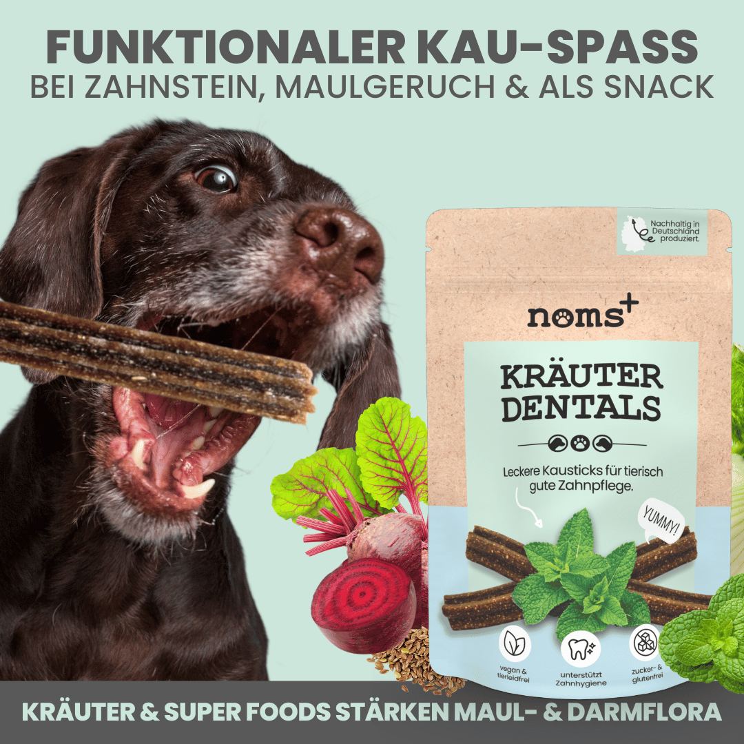 Der vegane Hund-Starter-Set
