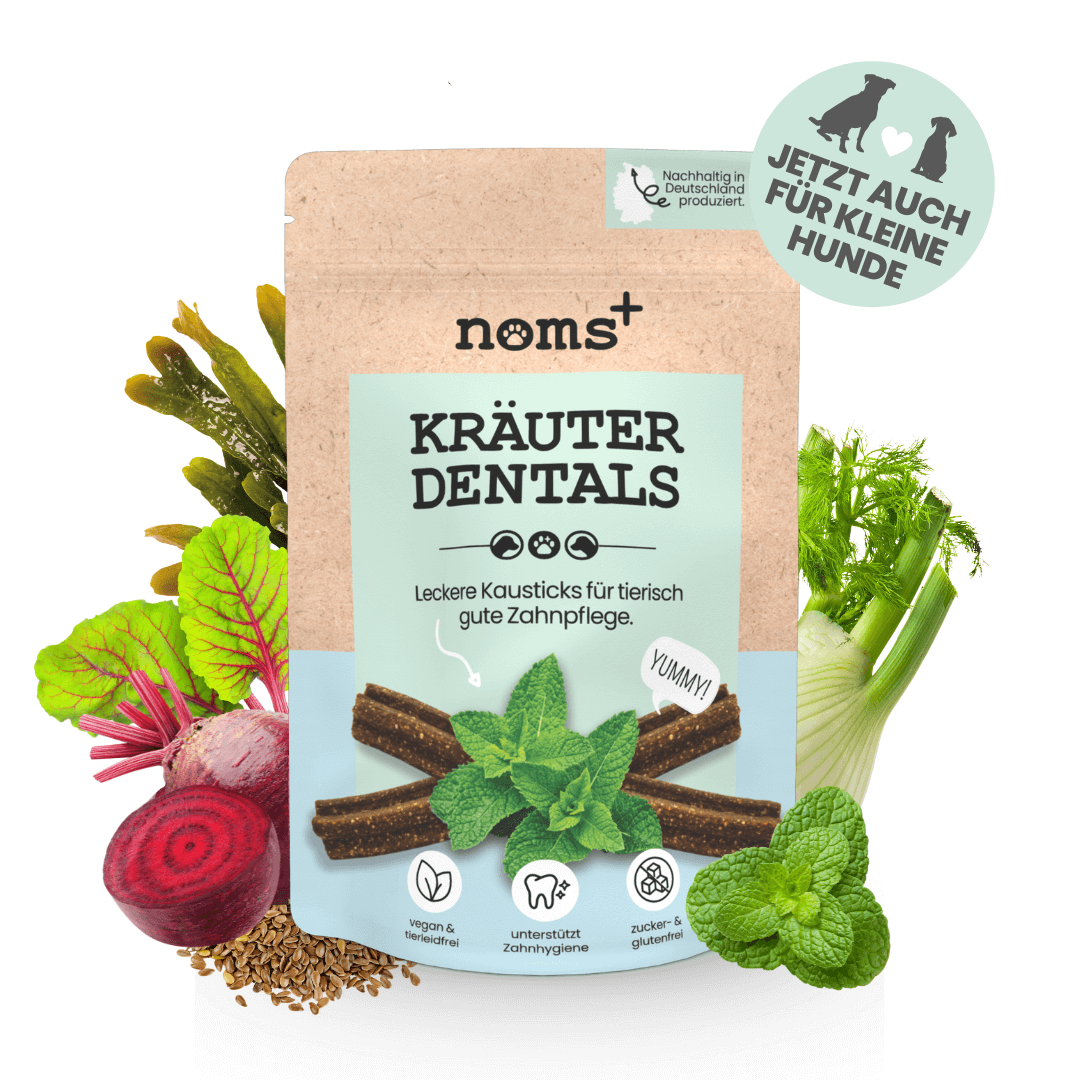 
                  
                    Kräuter Dentals für Hunde zur Zahn- und Darmpflege (150g)
                  
                