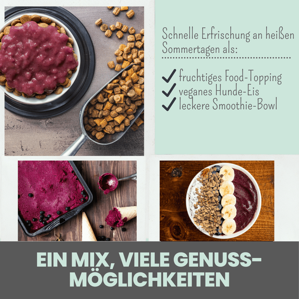 
                  
                    Hunde Smoothie-Bowl: Der fruchtig frische Elektrolyt-Booster
                  
                