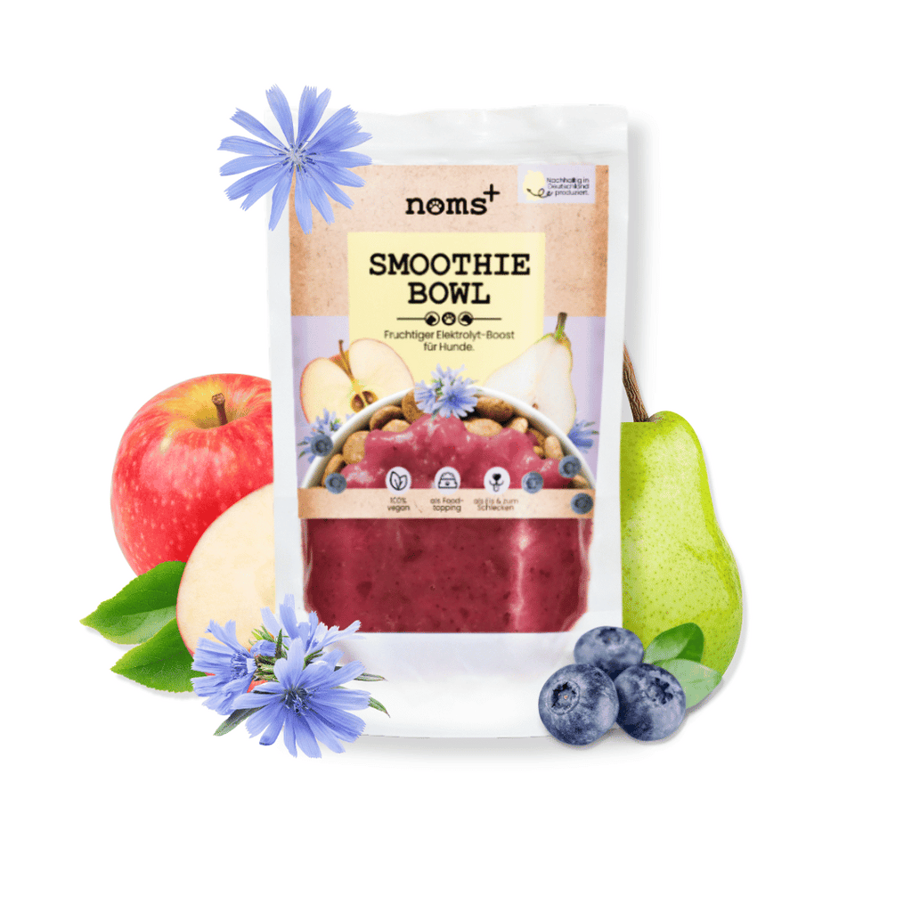 Hunde Smoothie-Bowl: Der fruchtig frische Elektrolyt-Booster