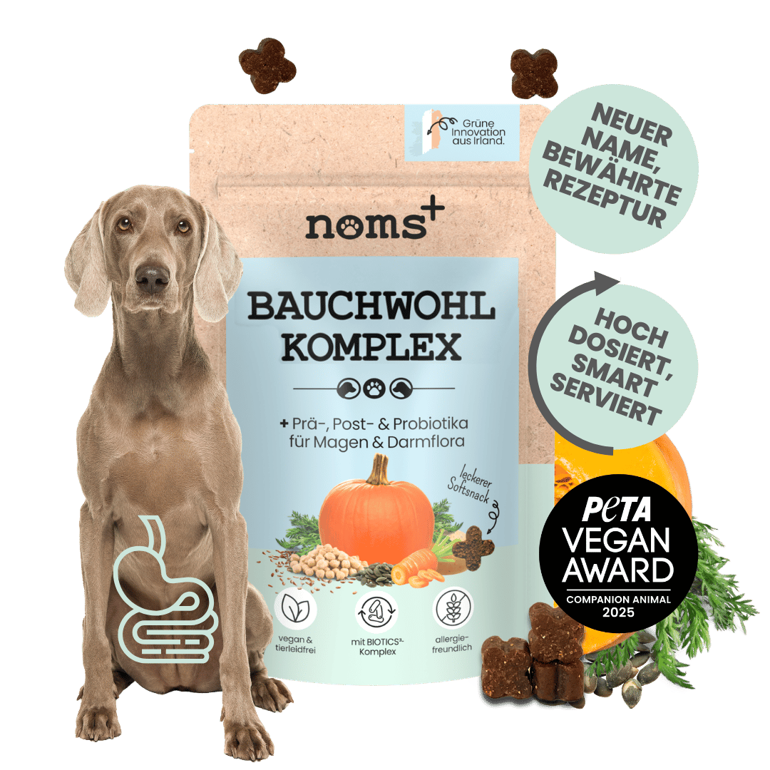 Bauchwohl-Komplex für Hunde