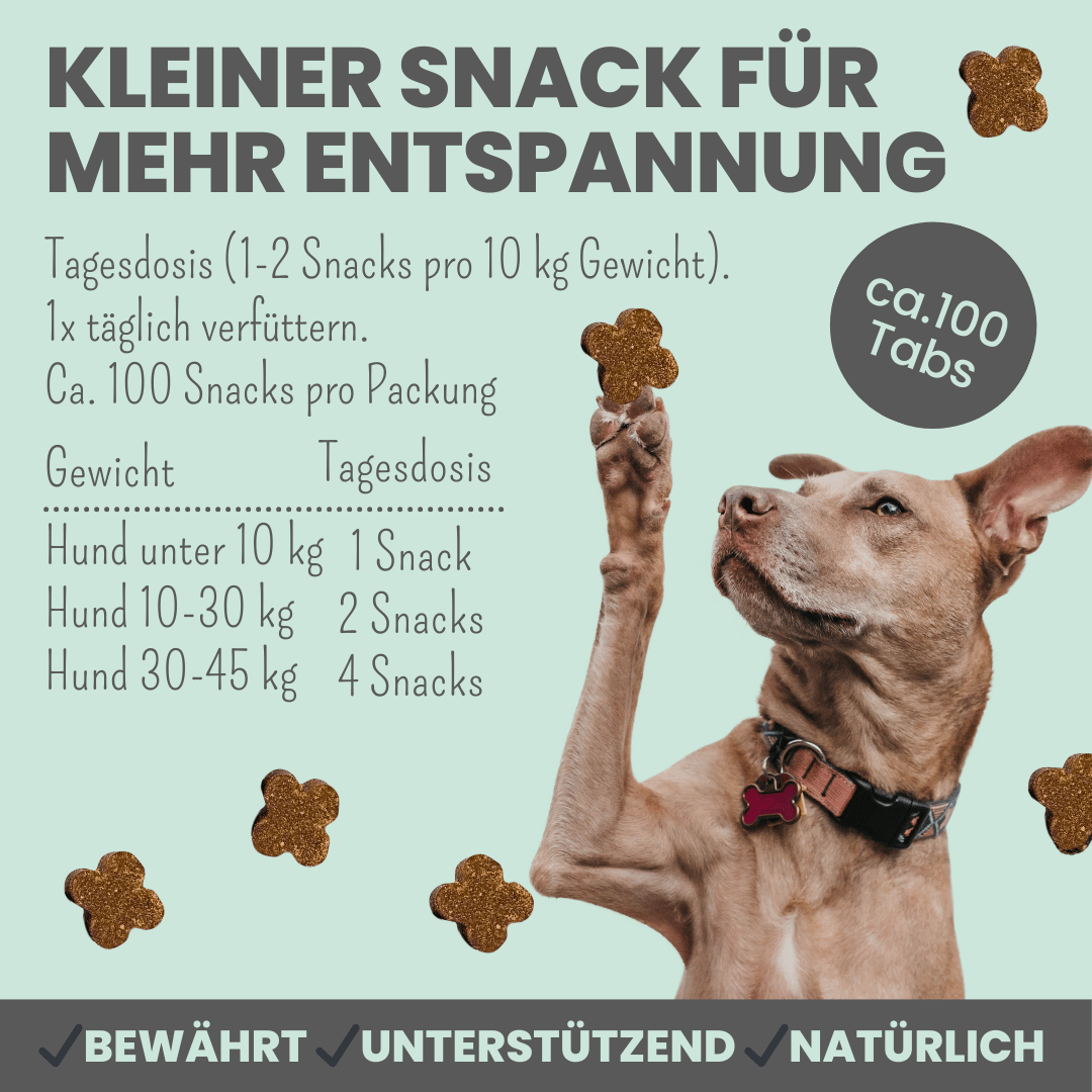 
                  
                    Wohlfühlsnacks für Hunde bei Stress, Angst, Unruhe & Hyperaktivität
                  
                