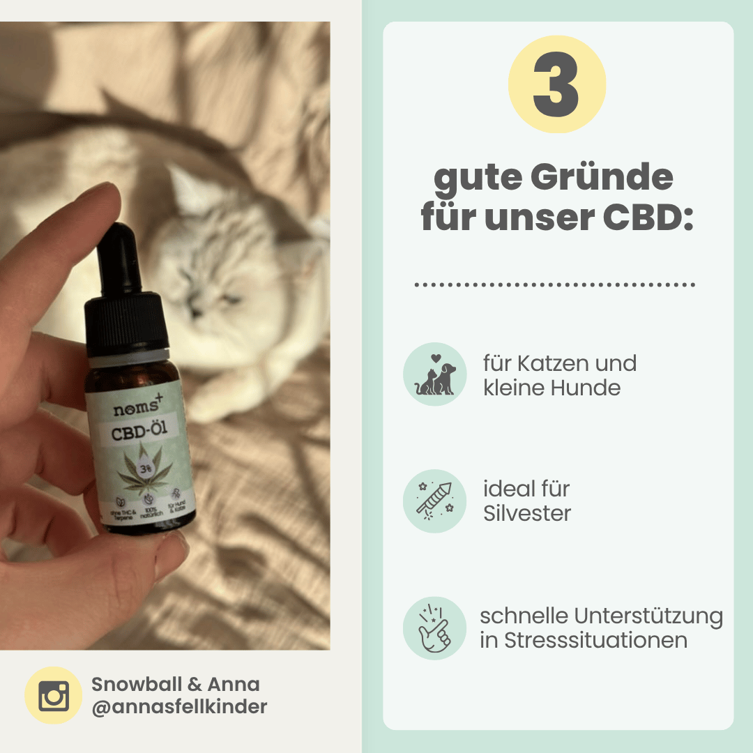 
                  
                    3% CBD Tropfen für Katzen und kleine Hunde 10ml
                  
                