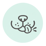 Schmatzen