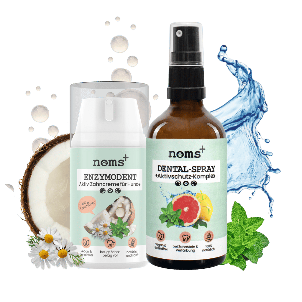 Natürliches Zahnpflege-Duo: Dentalspray und Enzymodent