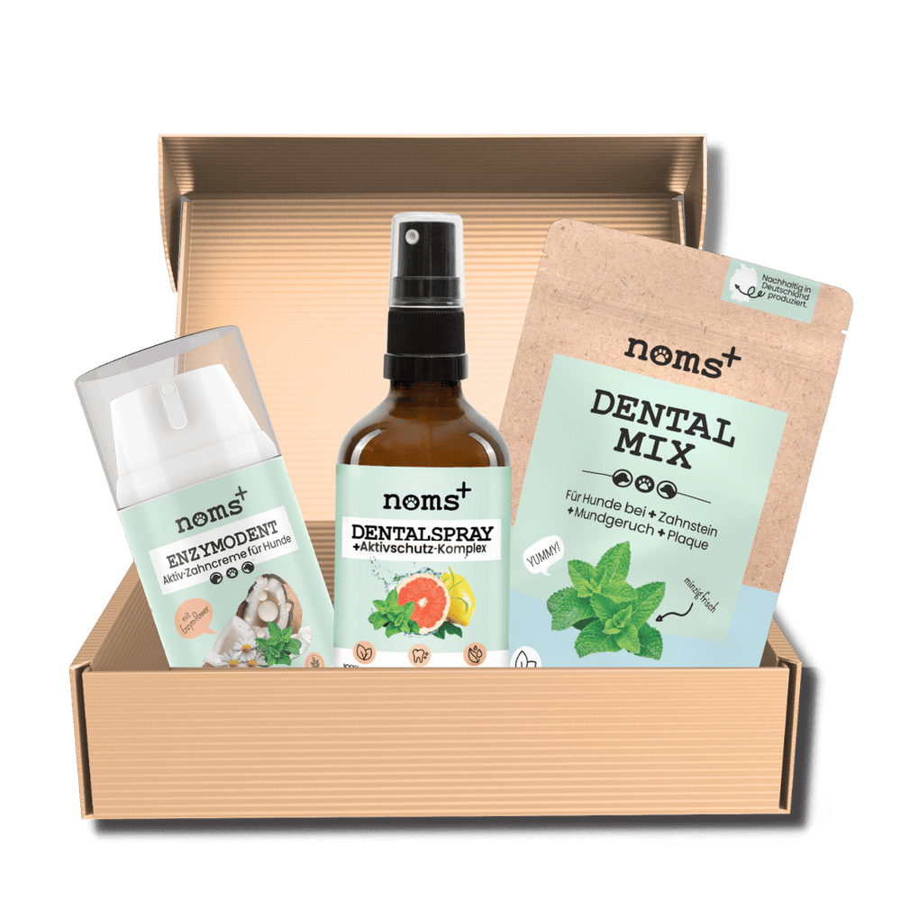 Hunde-Dental-Box: Natürliche Zahnpflege mit Dentalspray, Enzymodent & Dentalmix