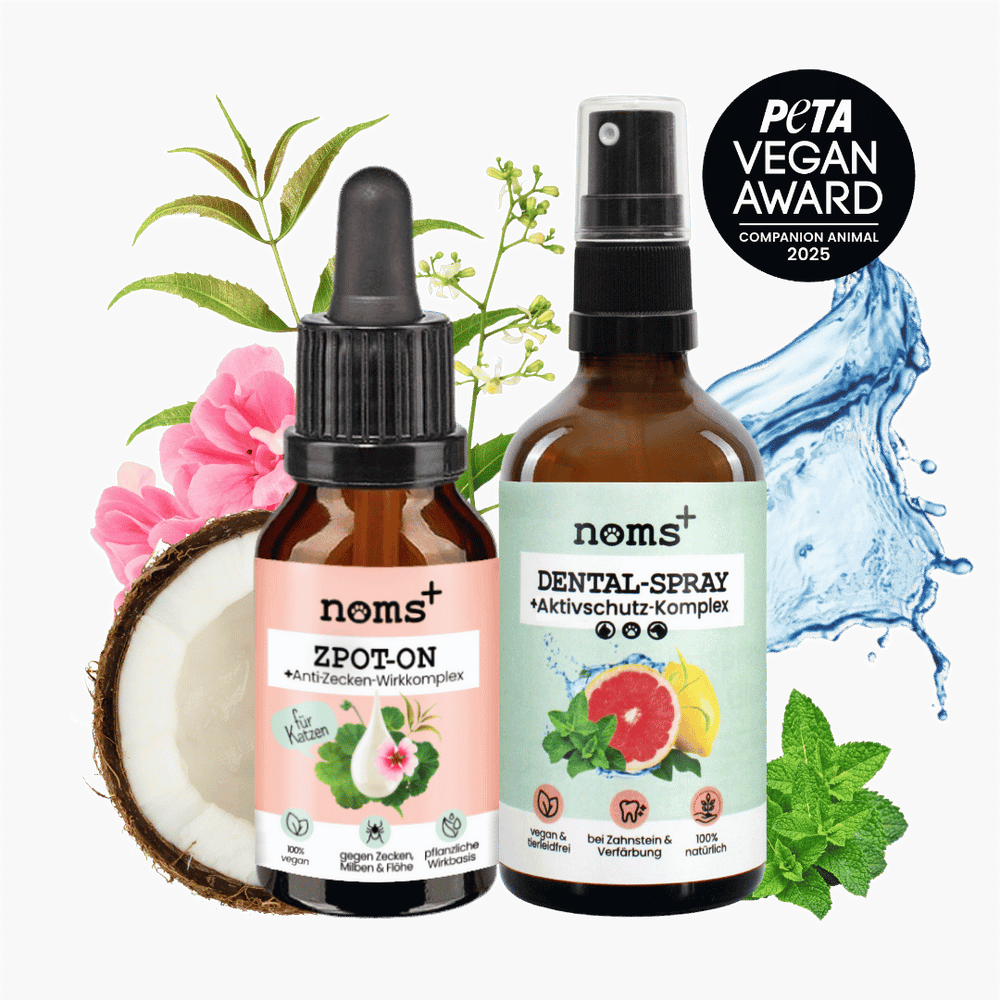 Bestseller-Duo für Katzen: Zpot-on & Dentalspray