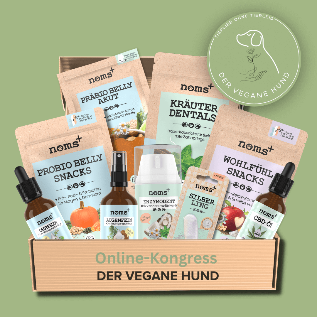 Der vegane Hund-Starter-Set