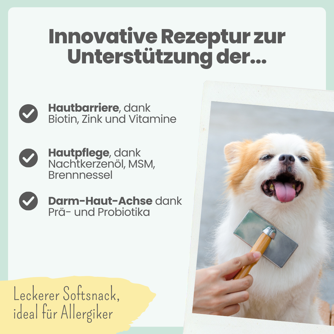 Haut & Fell Komplex für Hunde