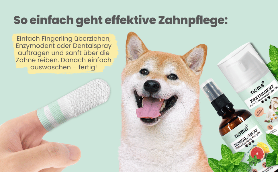 nomsplus