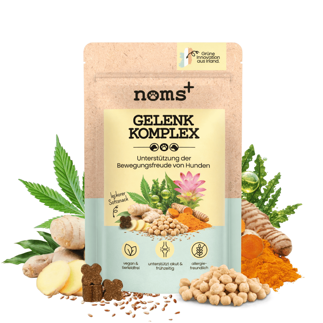 Gelenk-Komplex für Hunde