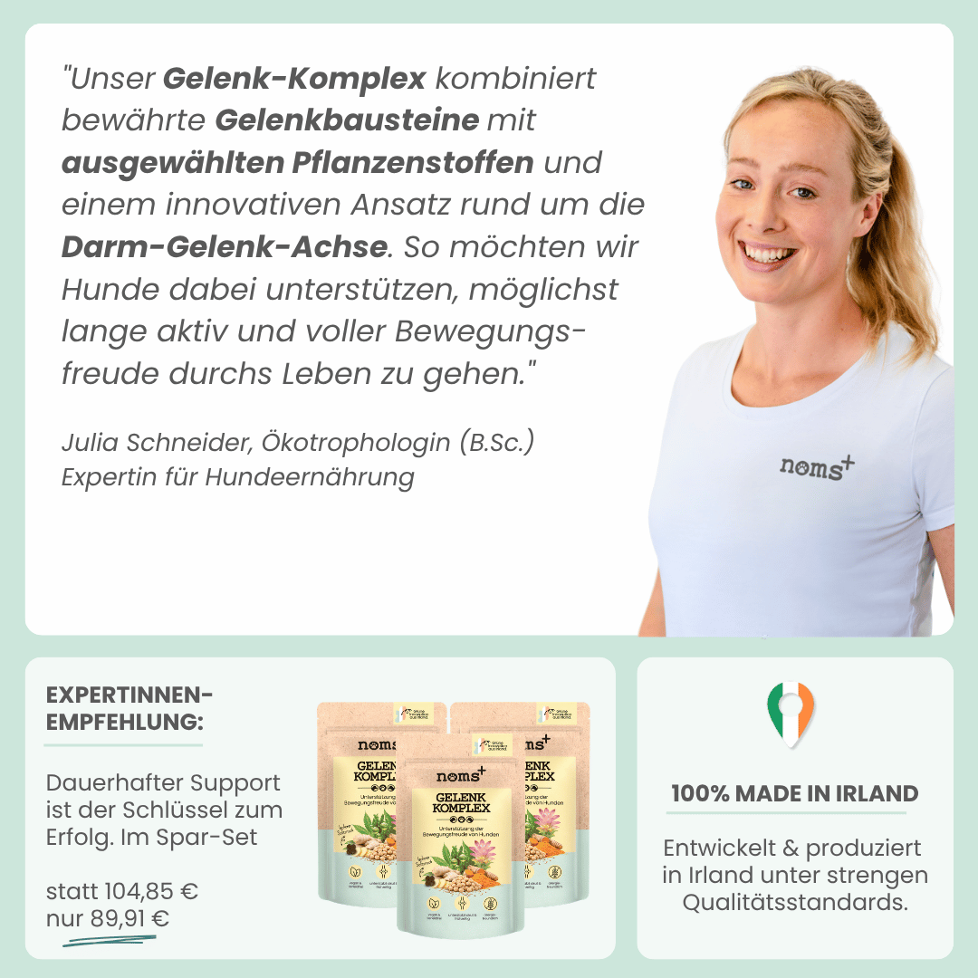 Gelenk-Komplex für Hunde