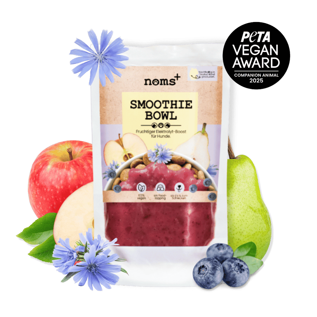 Hunde Smoothie-Bowl: Der fruchtig frische Elektrolyt-Booster