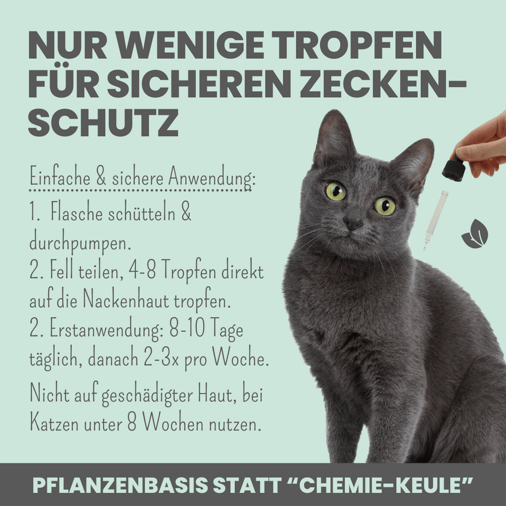 thuja salbe katze Pflanzenbasiertes Abwehr-Duo für Katzen – nomsplus