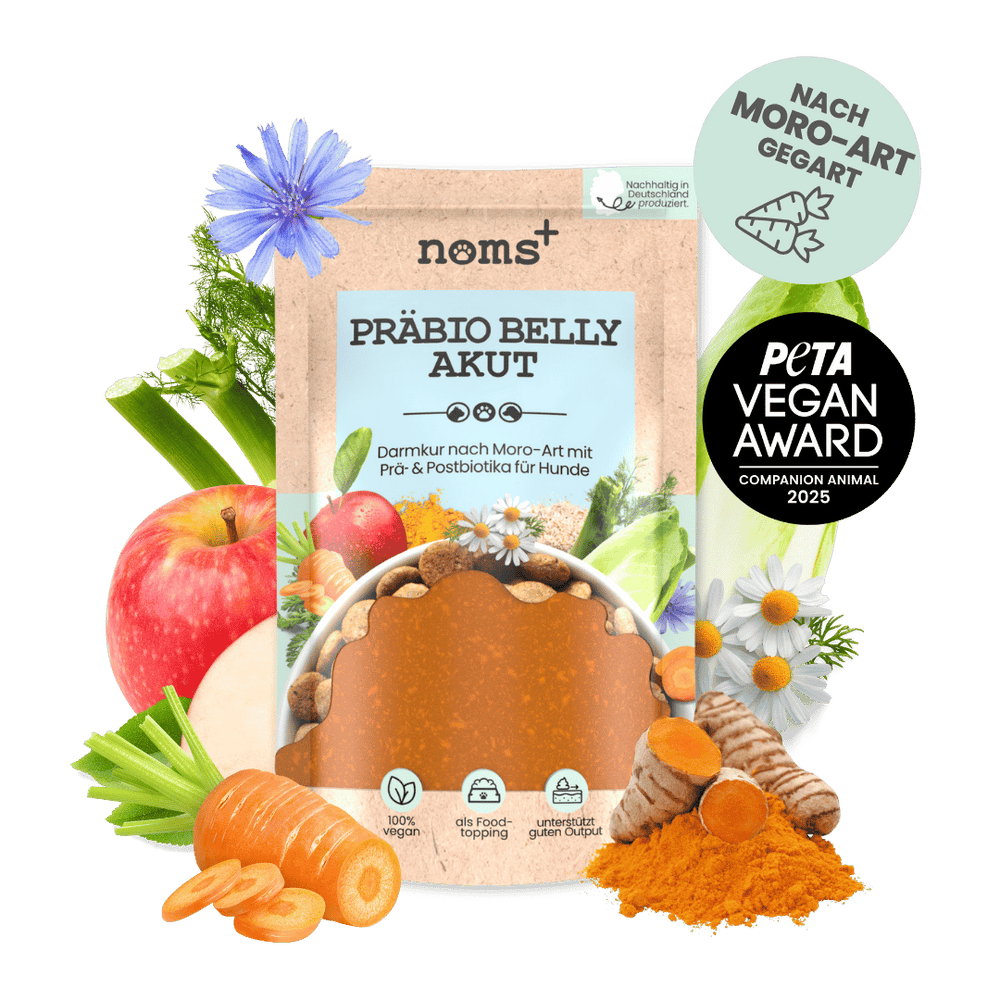 Präbio Belly Akut: pflanzenbasierte Darmkur für Hunde nach Moro-Art - Ready to eat