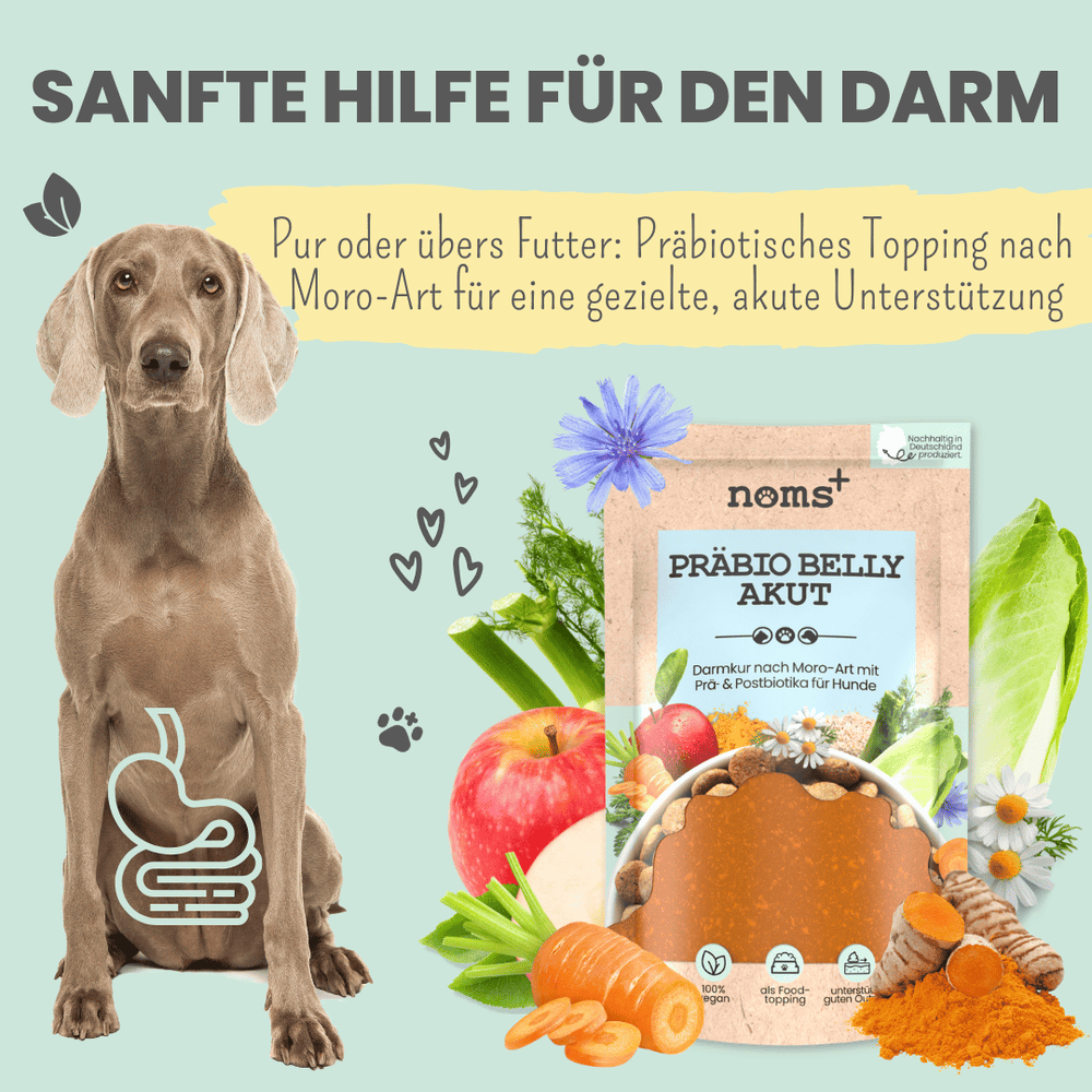 
                  
                    Präbio Belly Akut: pflanzenbasierte Darmkur für Hunde nach Moro-Art - Ready to eat
                  
                