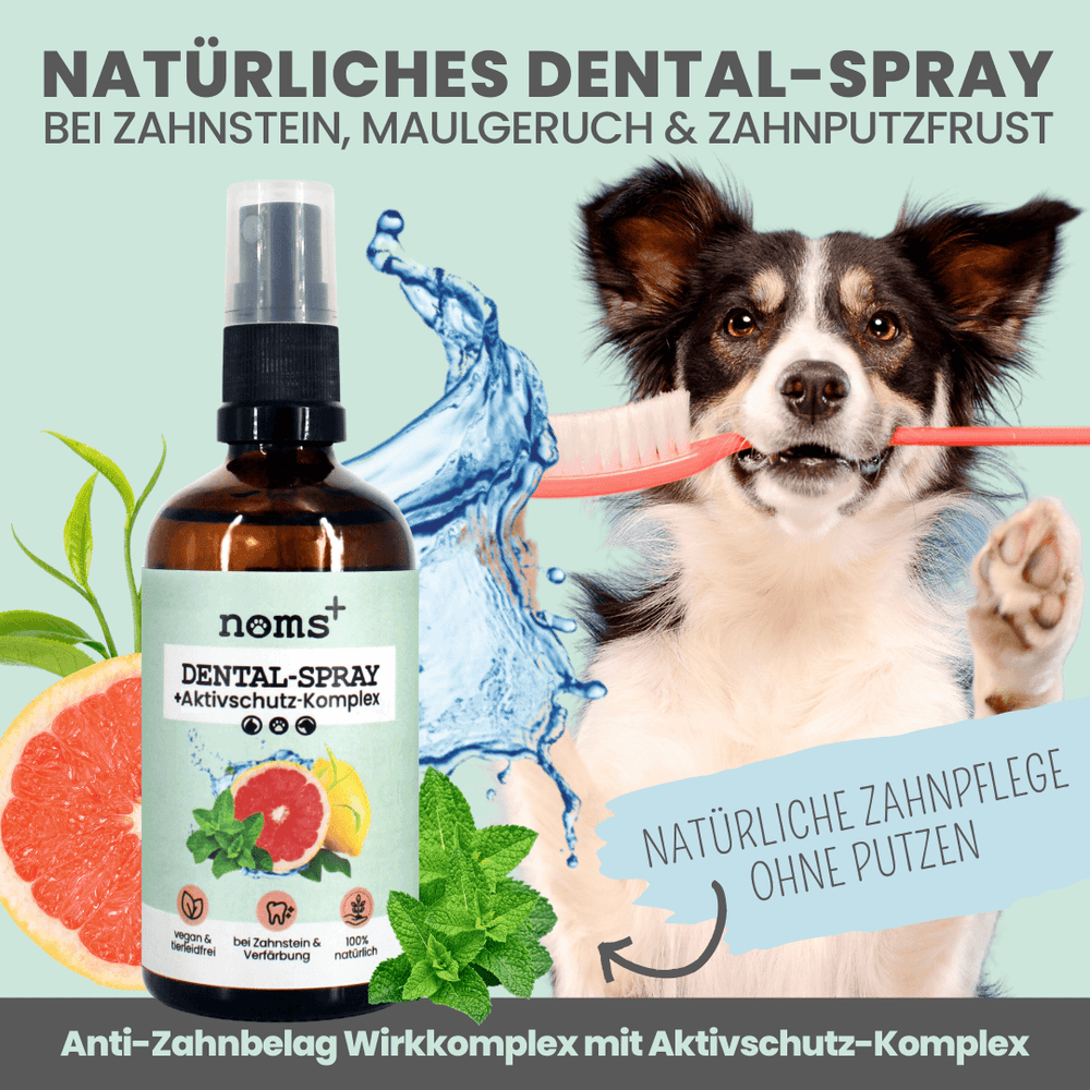 Dentalspray für Hunde & Katzen, Natürliche Zahnpflege