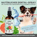 Black Week Hunde-Dental-Box