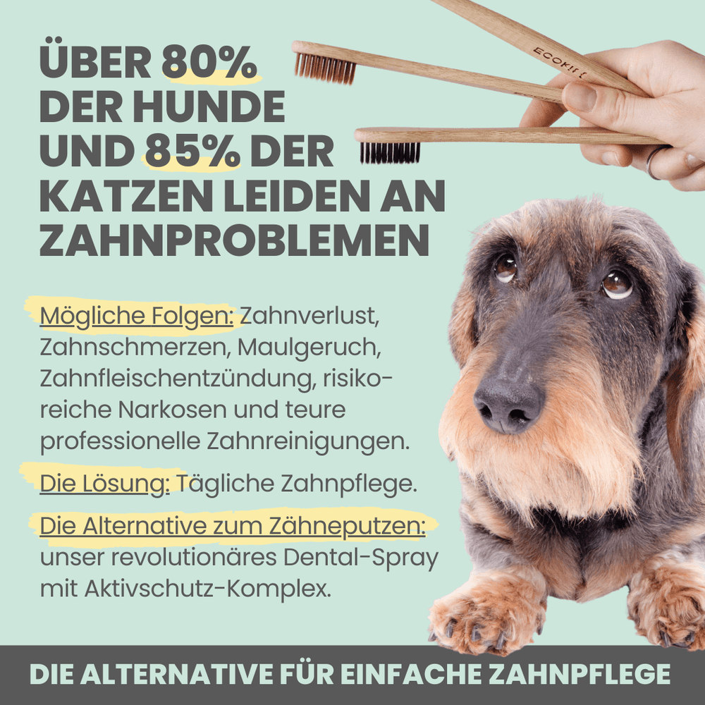 
                  
                    Dentalspray bei Zahnstein für Hunde und Katzen [Jahresvorrat]
                  
                